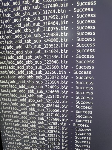 verify-with-adapted-pi86-success