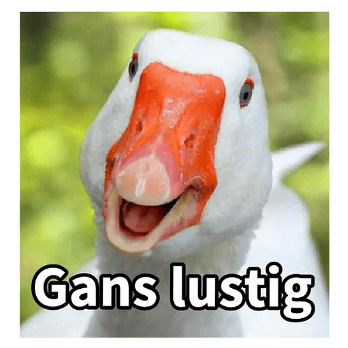 ganslustig